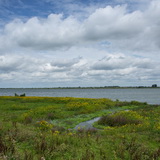 Tiengemeten